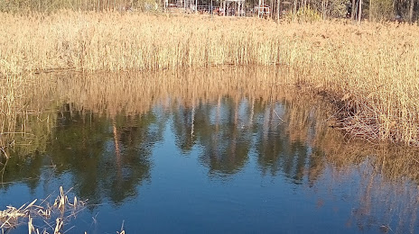 Парк Утиное озеро, Дзержинск