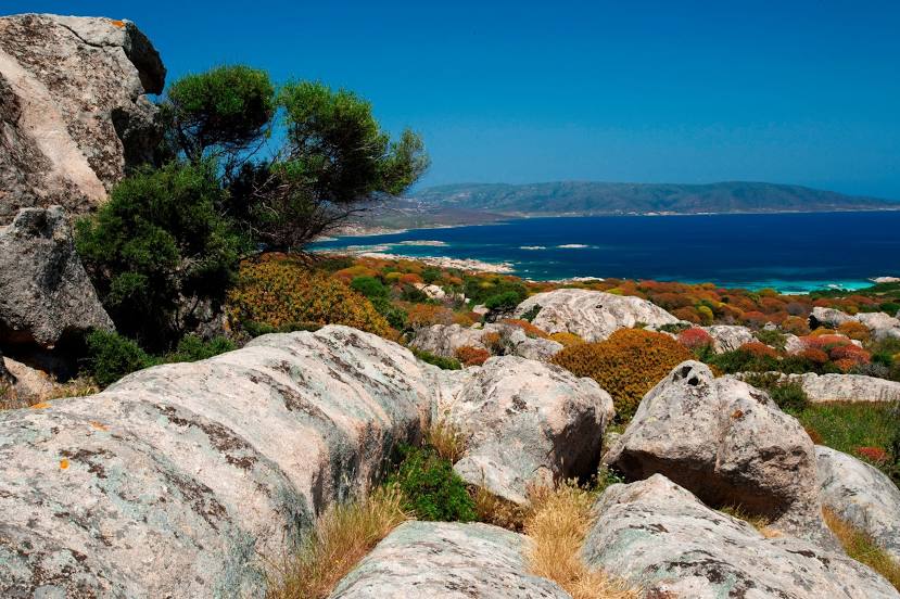 Parco Nazionale dell'Asinara, Porto Torres