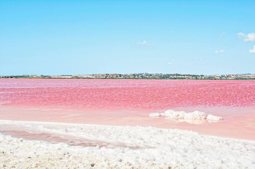 Pink Salt Lake, Torrevieja