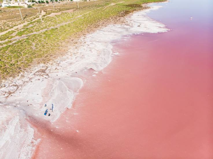 The Pink Lake Of Torrevieja, 