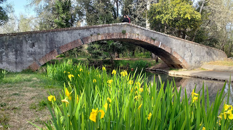 Parco della Versiliana, Camaiore