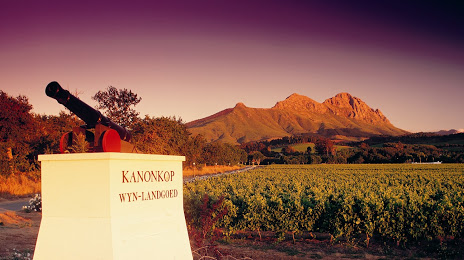 Kanonkop Wine Estate, Stellenbosch