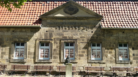 Museum Heineanum, Хальберштадт