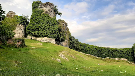 Castle of Rukhi, Zugdidi