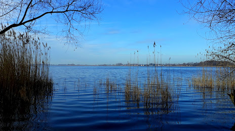 Jezioro Berzyńskie, Wolsztyn