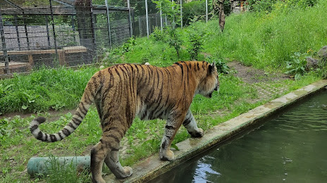Zoo Neuwied, Бендорф