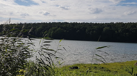 Jezioro Foluskie, Znin