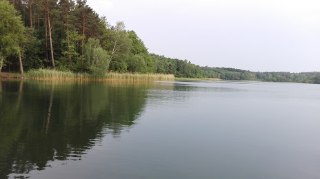 Jezioro Pniewskie, Znin