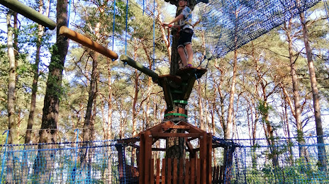 Park linowy Forest Jump, Solec Kujawski
