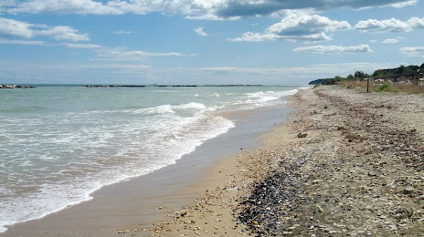 Spiaggia del Foro di Ortona, 