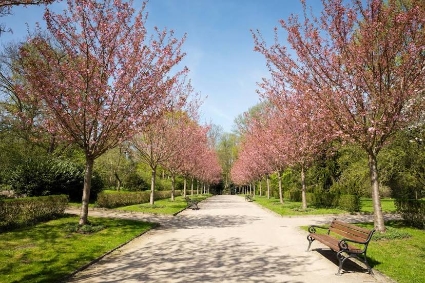 Botanischer Garten Rombergpark, Dortmund