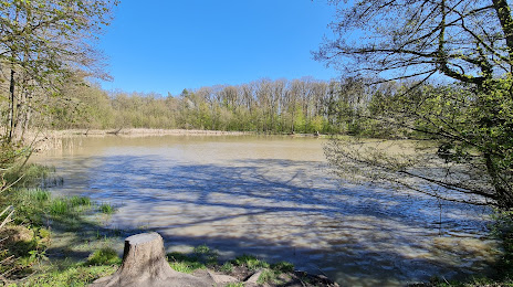 Annasee, Lauffen am Neckar