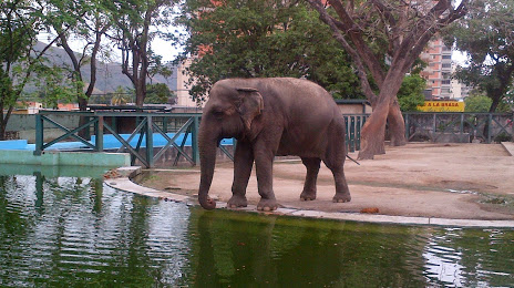 Parque Zoológico Las Delicias, 