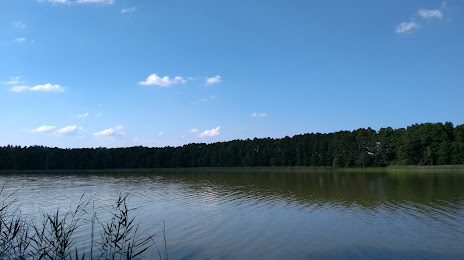 Pauzeńskie Lake, 
