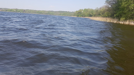 Jezioro Ponary, Morąg
