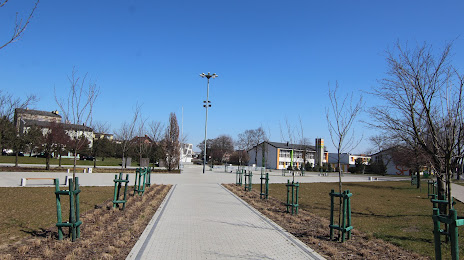 Plac Stu Straconych (Zgierz), Ζγκιες
