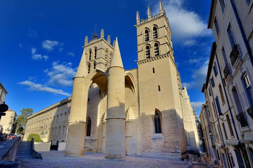 Montpellier Cathedral, 