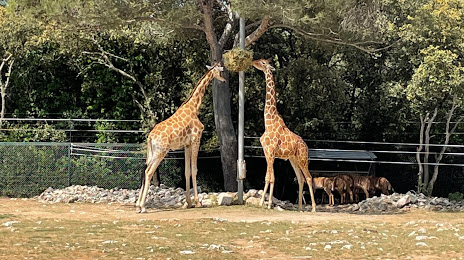 Montpellier Zoological Park, Монпелье