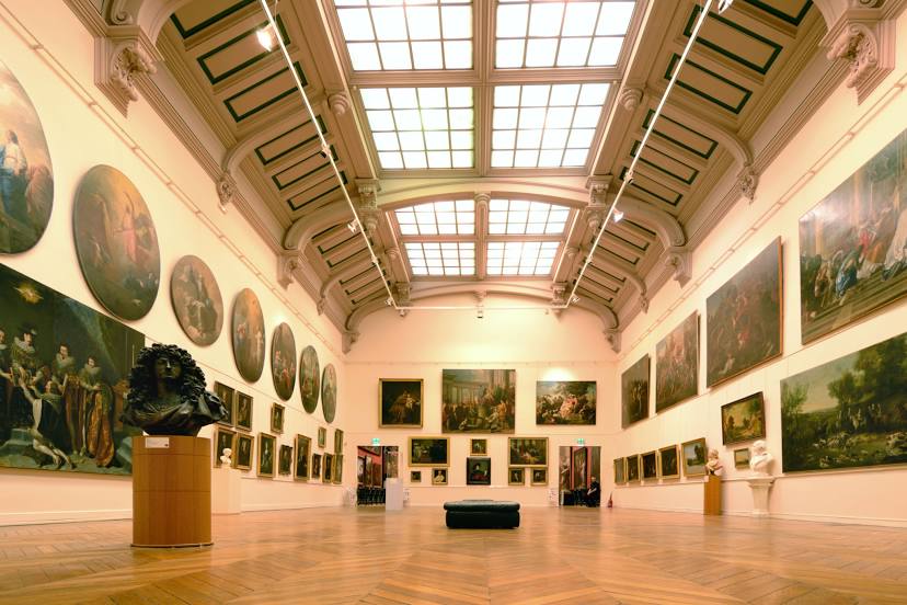 Muséum de Toulouse, 
