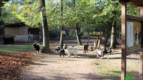 Parc animalier Friedel, Estrasburgo