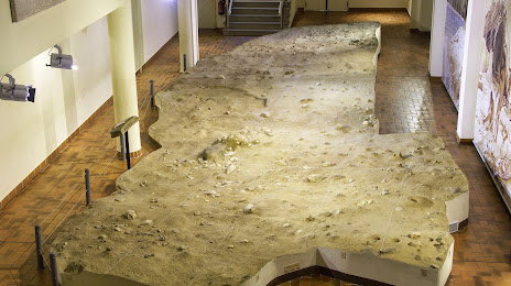 Human Palaeontology Terra Amata Museum, Niza