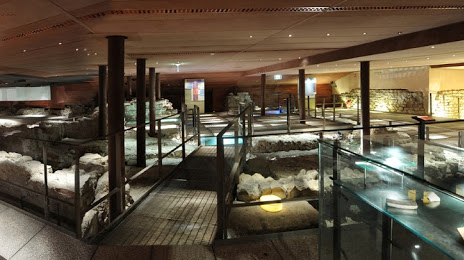 Musée de l'Ancien Évêché, Гренобль
