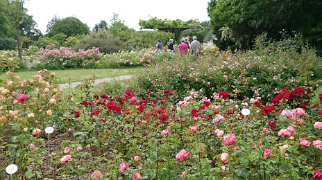 Parc Floral Roseraie, Nantes