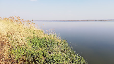 Курское водохранилище, Курчатов