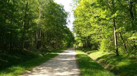 Forêt Régionale de Bréviande, Évry
