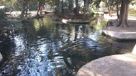 Parc Des Oiseaux, Tolón
