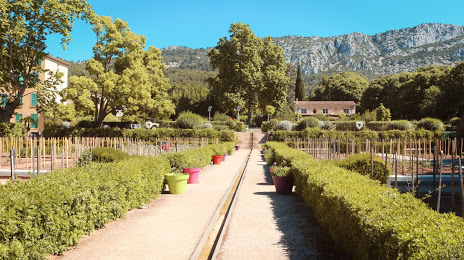 Jardin Remarquable de Baudouvin, Toulon