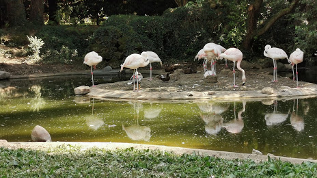 Parc zoologique Bois de Saint-Pierre, Poitiers