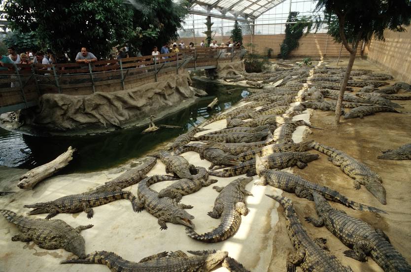 La Ferme aux Crocodiles, Pierrelatte