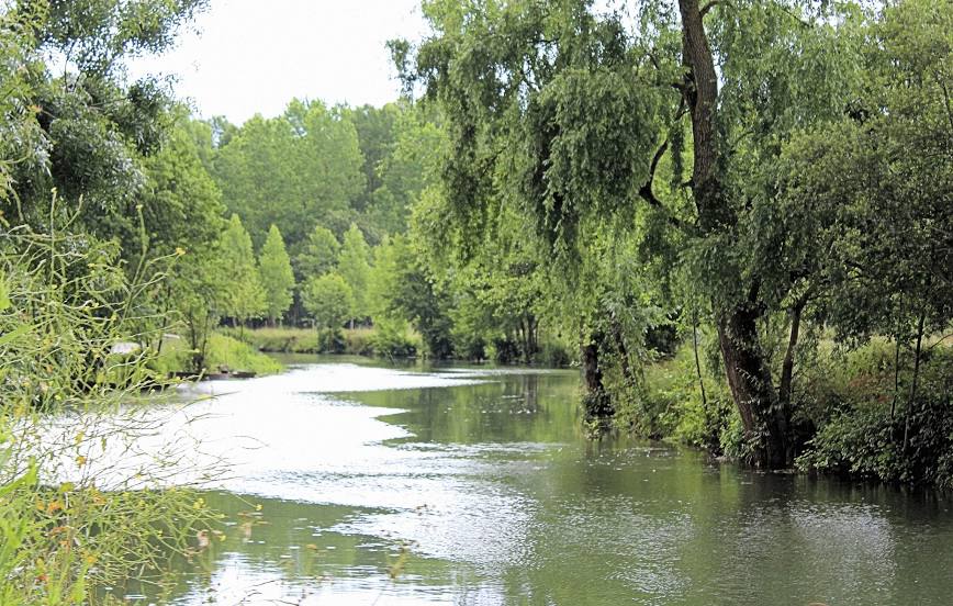 Regional Natural Park of the Marais Poitevin, Niort