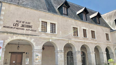 Musée d’histoire naturelle, Blois