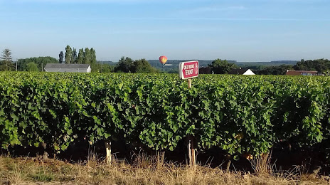 Vignoble Tévenot, Blois