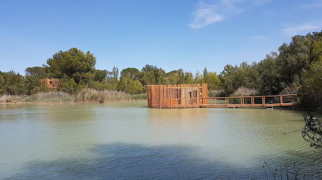 Lac de la Lionne, Avignon