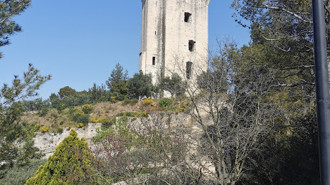 Torre Anglica, Aviñón