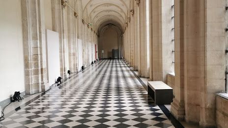 Le Musée des Beaux-Arts d'Arras, 