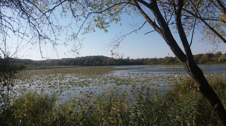 Regional Nature Reserve of the Lake Saint-Bonnet, Bourgoin-Jallieu