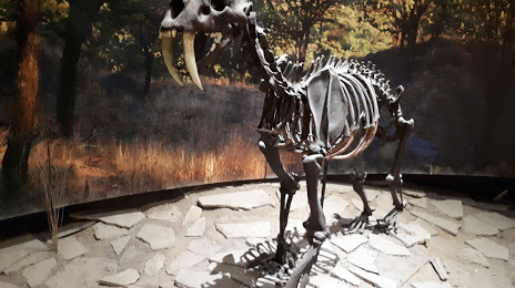Museo de Paleontología de Guadalajara, 