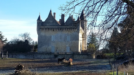 Château du Grand Puch, Libourne