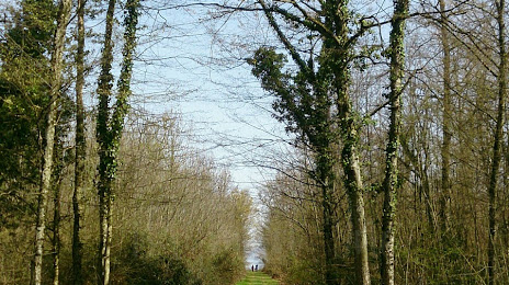 Forêt de Ripaille, Thonon-les-Bains