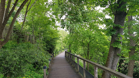 Park of Brimborion (Parc de Brimborion), 