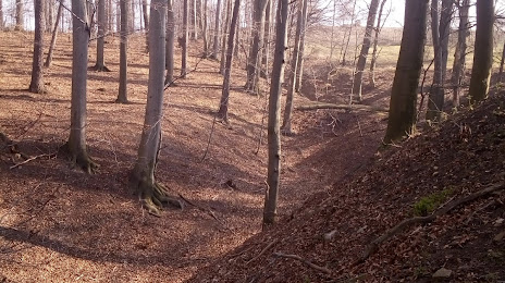 Rezerwat przyrody Lesisko, Здзешовіце