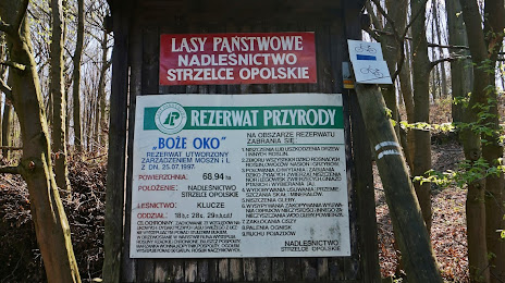 Rezerwat przyrody Boże Oko, Здзешовіце