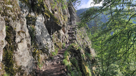 Sentier Des Roches, Illzach