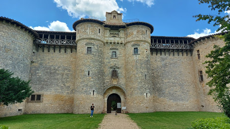 Château de Mauriac, Gaillac