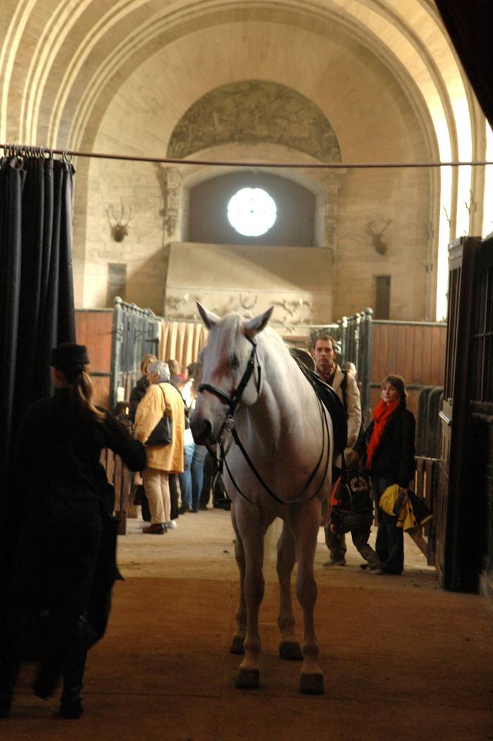 Horse Museum, Chantilly
