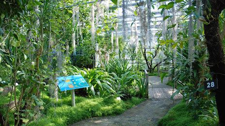 Garden National Botanical Conservatory of Brest, 